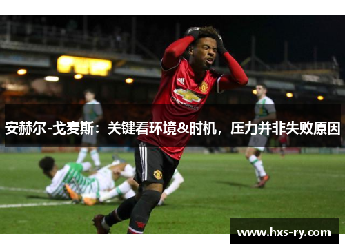 安赫尔-戈麦斯：关键看环境&时机，压力并非失败原因